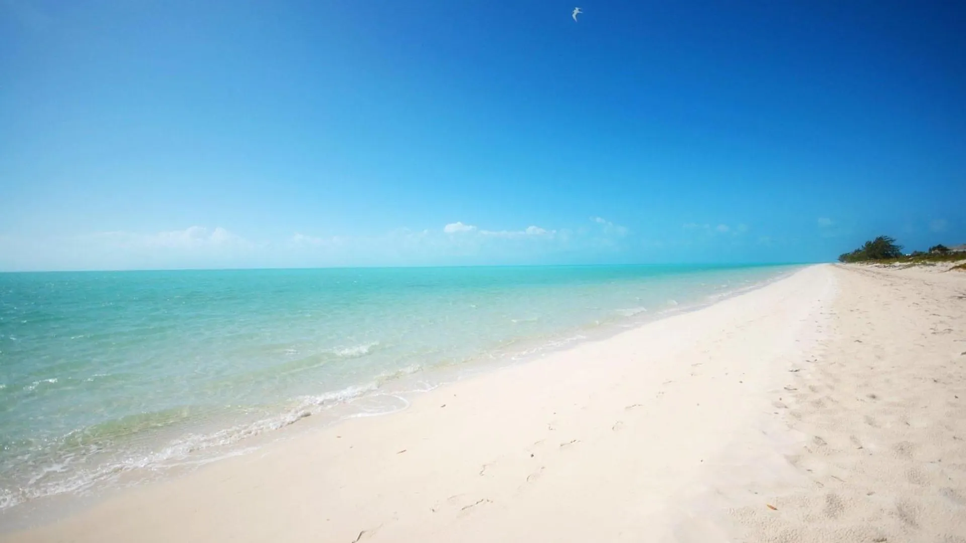 Karana Studio 1 - K1 Long Bay Turks og Caicos Islands
