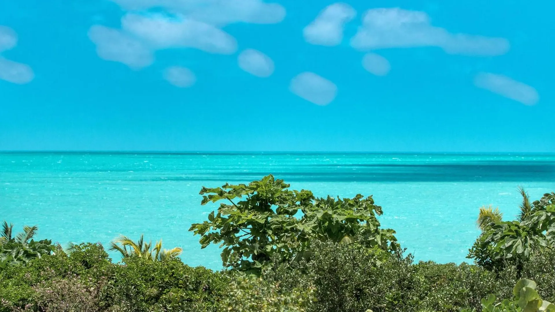 Feriested Karana Studio 1 - K1 Long Bay Turks og Caicos Islands